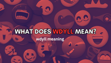 wdyll meaning